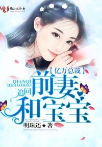 追回前妻和宝宝